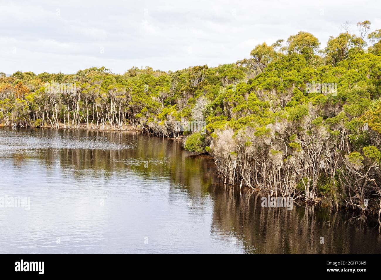 Big Lagoon Creek - Baia dei fuochi, Tasmania, Australia Foto Stock