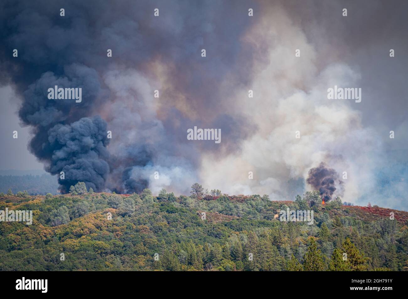 Primo piano di fiamme e nuvole di fumo grigio al fuoco del Foresthill Bridge nella California settentrionale vicino ad Auburn, ai piedi della Sierra Nevada. Foto Stock