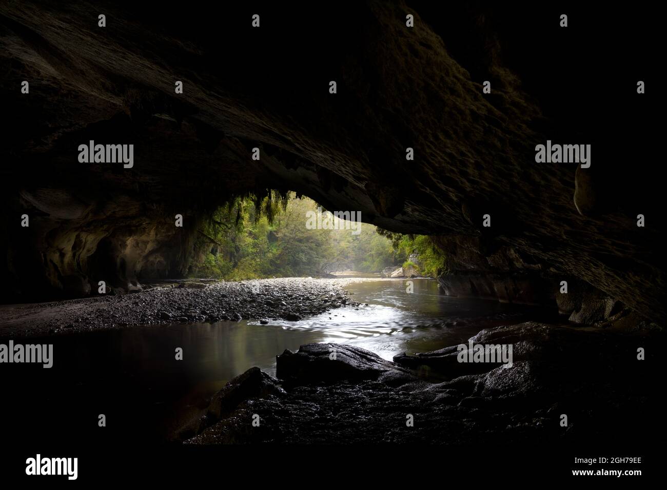 Moira Gate Arch, costa occidentale, nuova zelanda Foto Stock