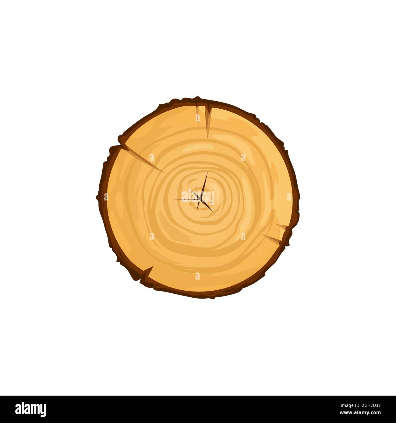 Tessitura del legno anello ondulato fetta di albero isolare moncone vista dall'alto cartoon icona piatta. Tronco vettoriale di legno rotondo, corteccia di albero tagliata di legno secco sgranato. Legname Illustrazione Vettoriale