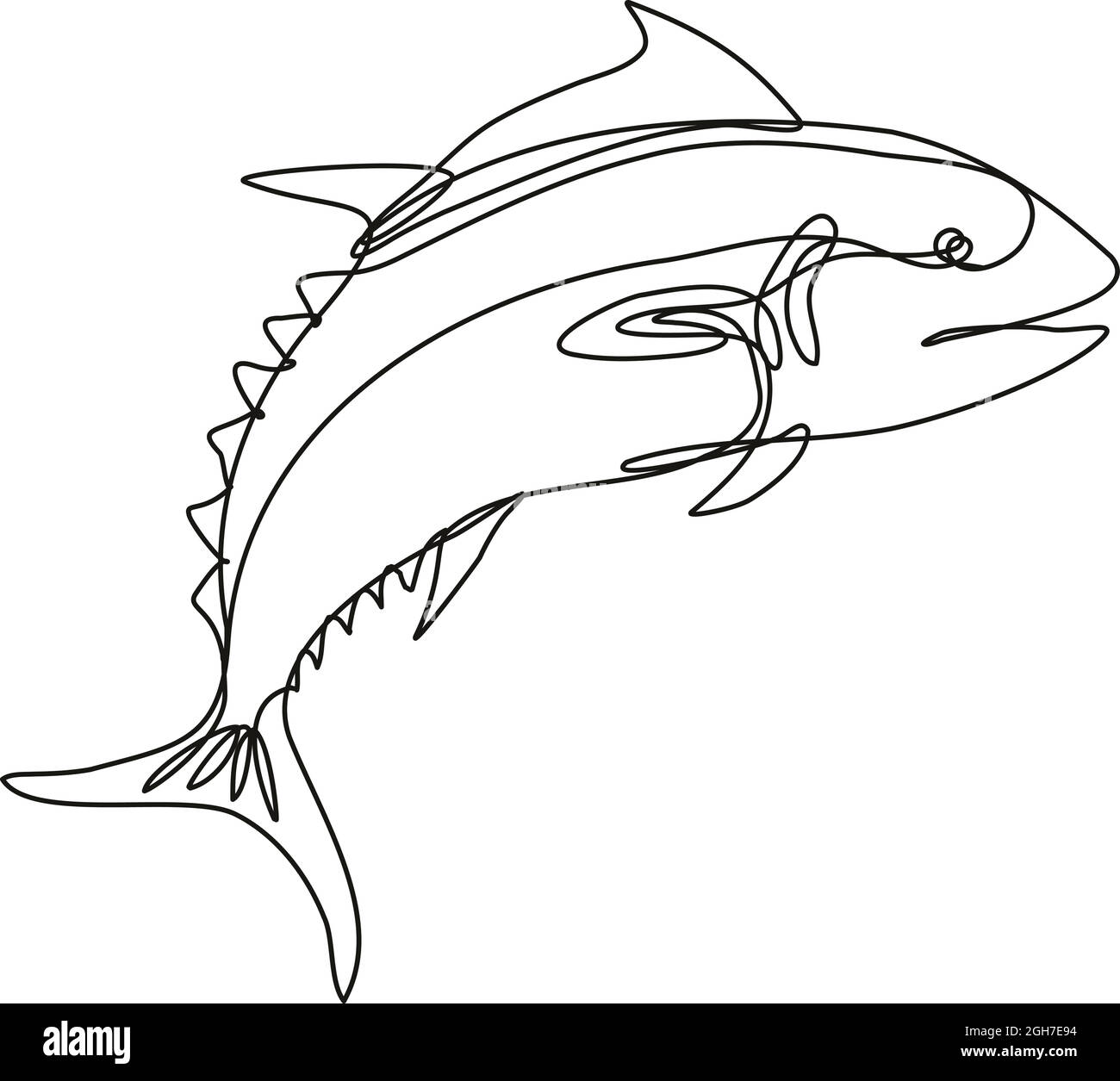 Illustrazione di un disegno a linea continua di una vista laterale di salto del tonno rosso fatta in monocolinea o in stile doodle in bianco e nero su sfondo isolato. Illustrazione Vettoriale Illustrazione di un disegno a linea continua di una vista laterale di salto del tonno rosso fatta in monocolinea o in stile doodle in bianco e nero su sfondo isolato. Illustrazione Vettoriale