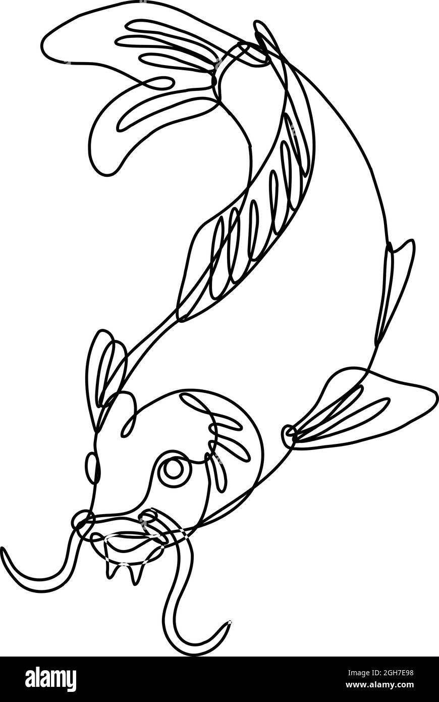 Illustrazione di un nishikigoi koi koi in linea continua del disegno di un pesce della carpa del nishikoi che tuffa in giù fatto in monlinea o in stile del doodle in nero e bianco su backgr isolato Illustrazione Vettoriale