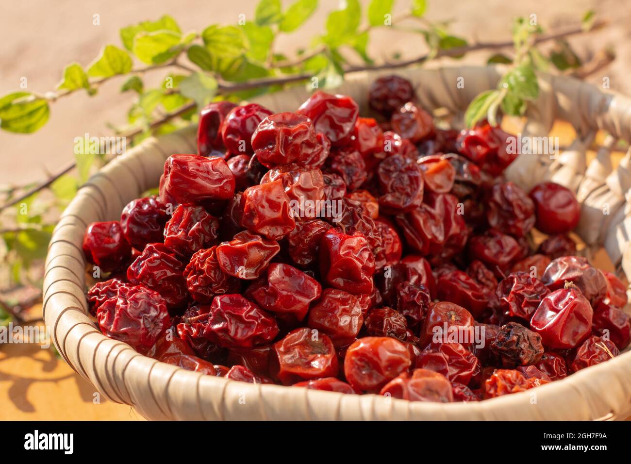 Sun Dried Ziziphus juuba, comunemente chiamato jujube, noto anche come data cinese, mela cinese, jubo indiano, Musawu o Mazanica. Foto Stock