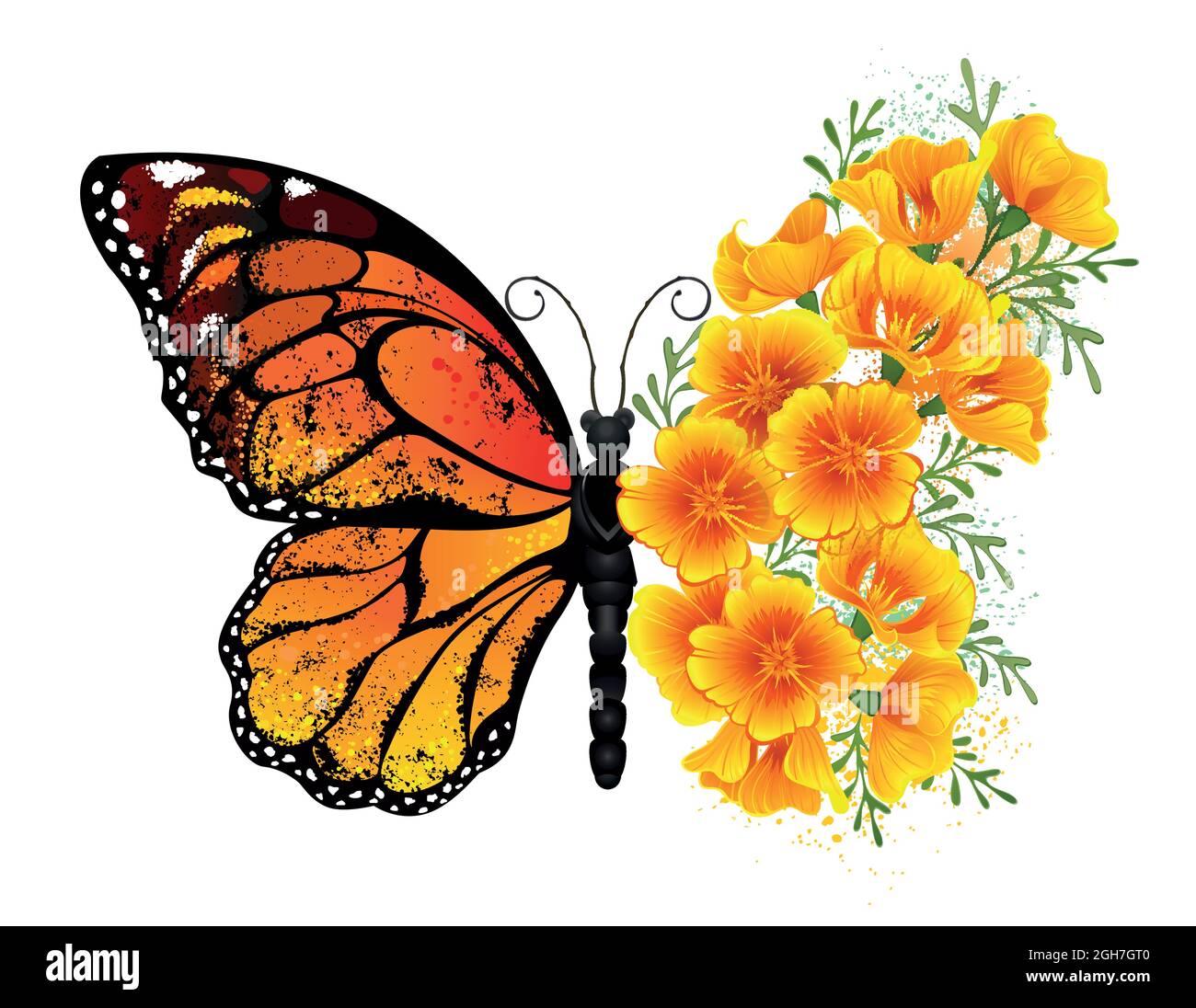 Arancione, farfalla monarca dettagliata con ala decorata con giallo, vibrante California papavero su sfondo bianco. Illustrazione Vettoriale