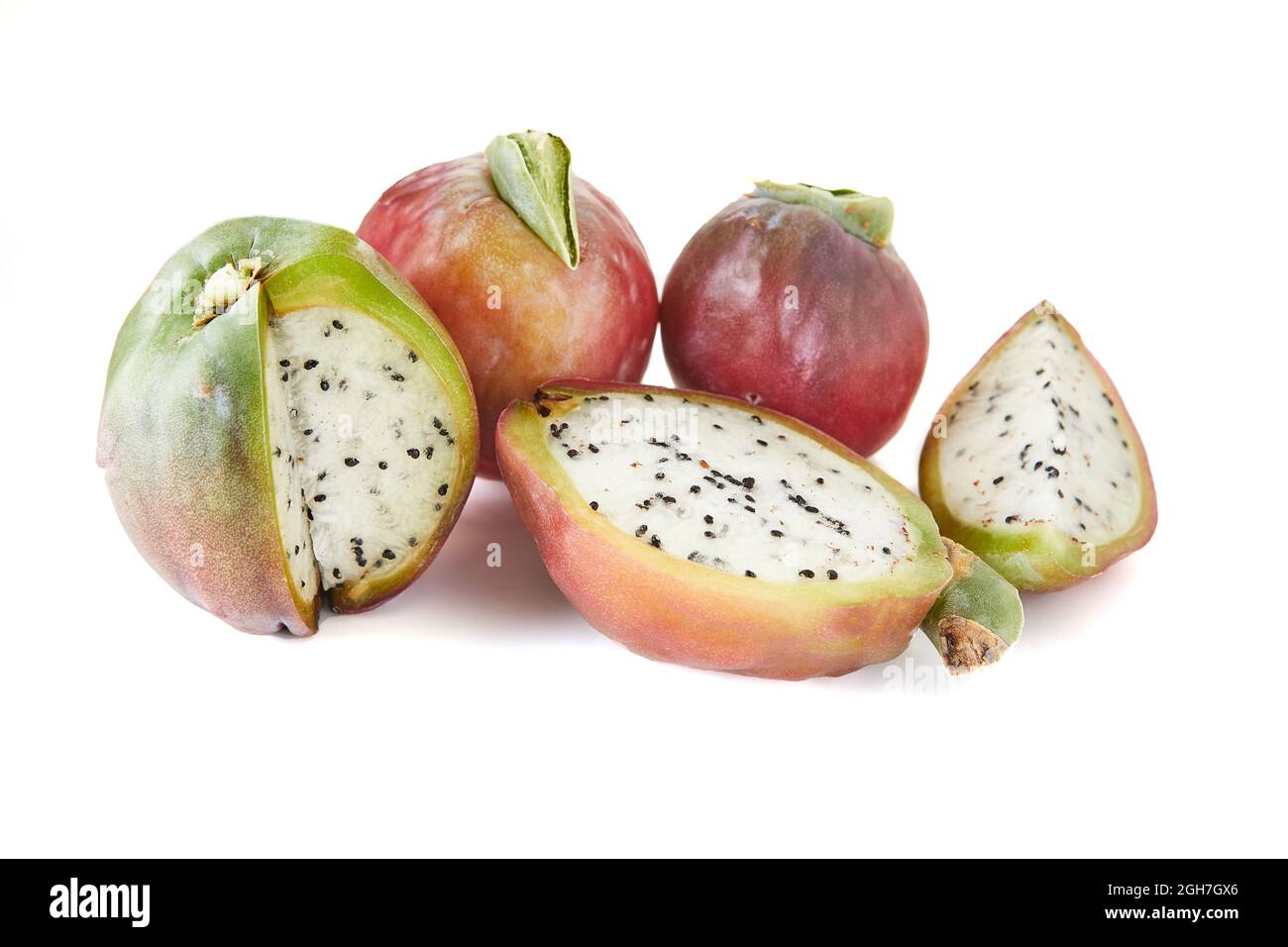 Mela peruviana cactus frutta isolato su sfondo bianco. Nome scientifico Cereus repandu Foto Stock