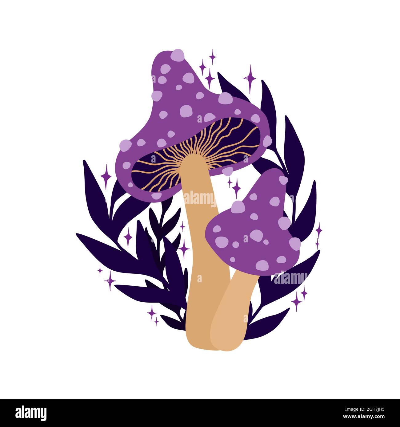 Funghi porpora e foglie scure con stelle su sfondo bianco. Illustrazione del disegno a mano magico del witchcraft. Arte vettoriale Illustrazione Vettoriale