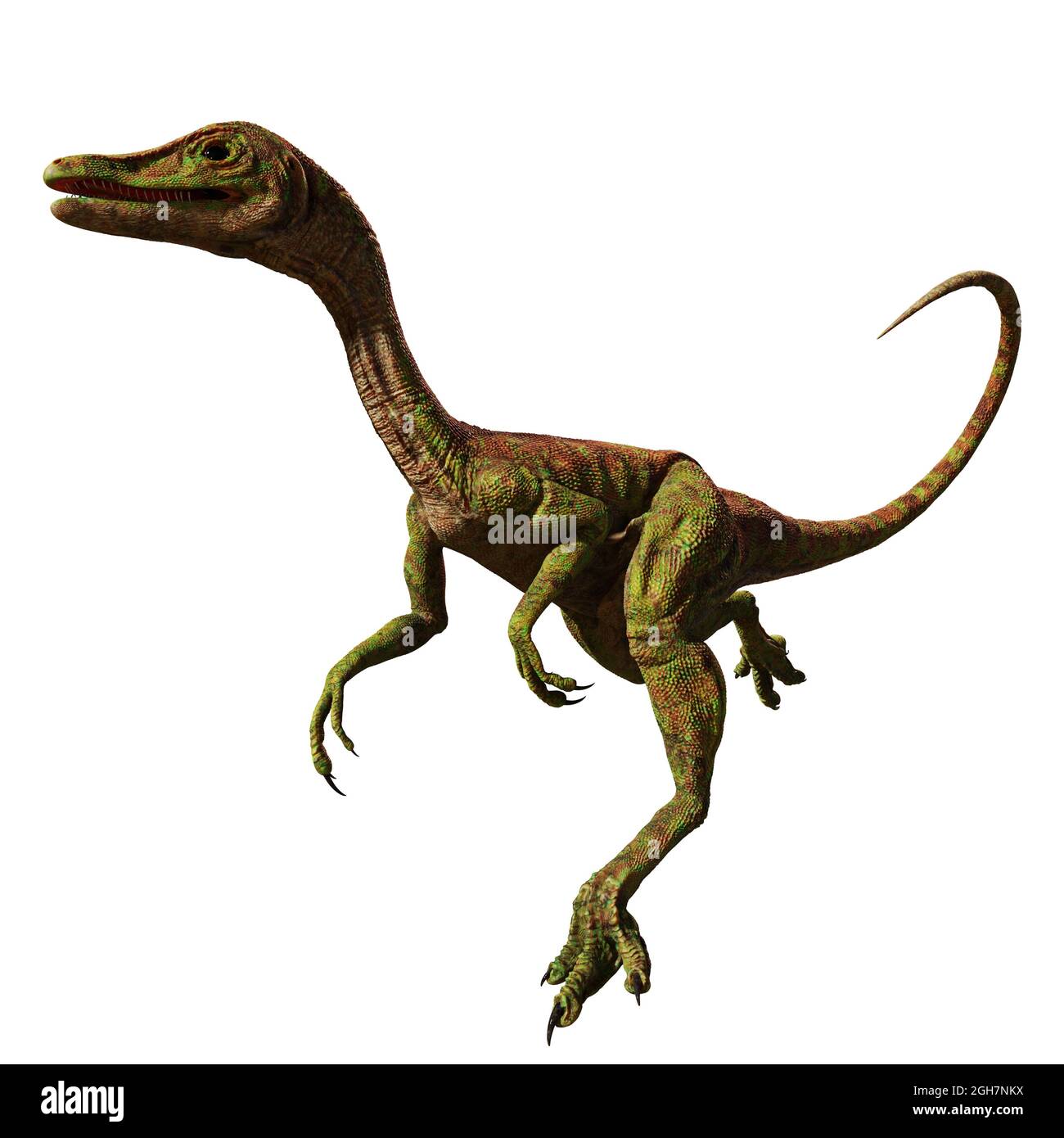 dinosauro piccolo ma molto aggressivo