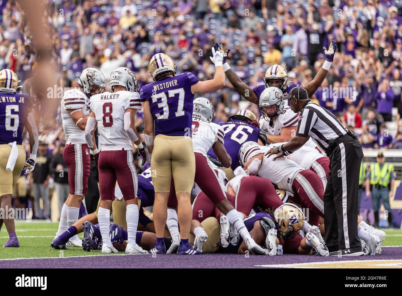 Washington Huskies reagire a un touchdown durante il primo trimestre di una partita di football dell'NCAA College contro i Montana Grizzlies, sabato 4 settembre, Foto Stock