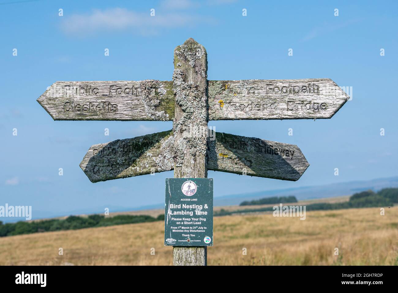 Quattro vie di legno fingerpost marchiando sentieri pubblici, vicino Geltsdale, Cumbria, Pennines Nord Foto Stock