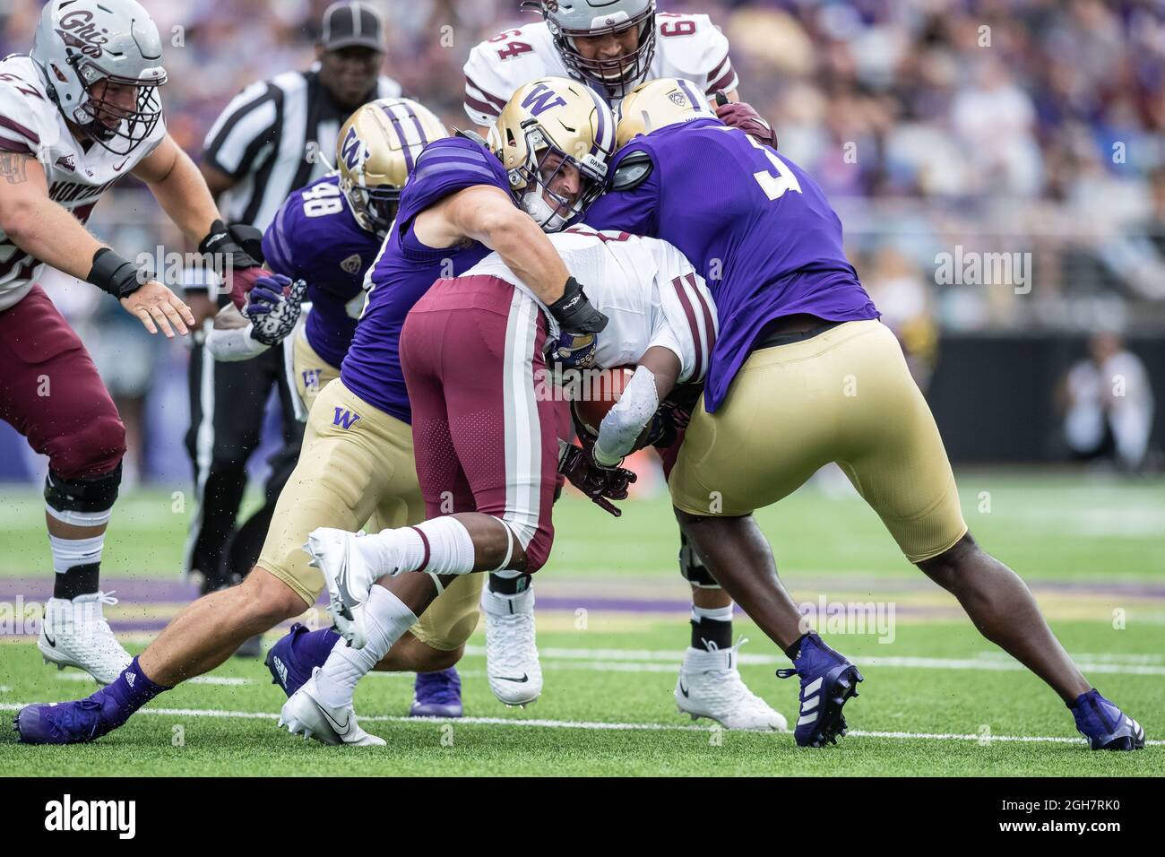 Washington Huskies linebacker Jackson Sirmon (43) affronta Montana Grizzlies running back Xavier Harris (13) durante il primo trimestre di un NCAA college Foto Stock