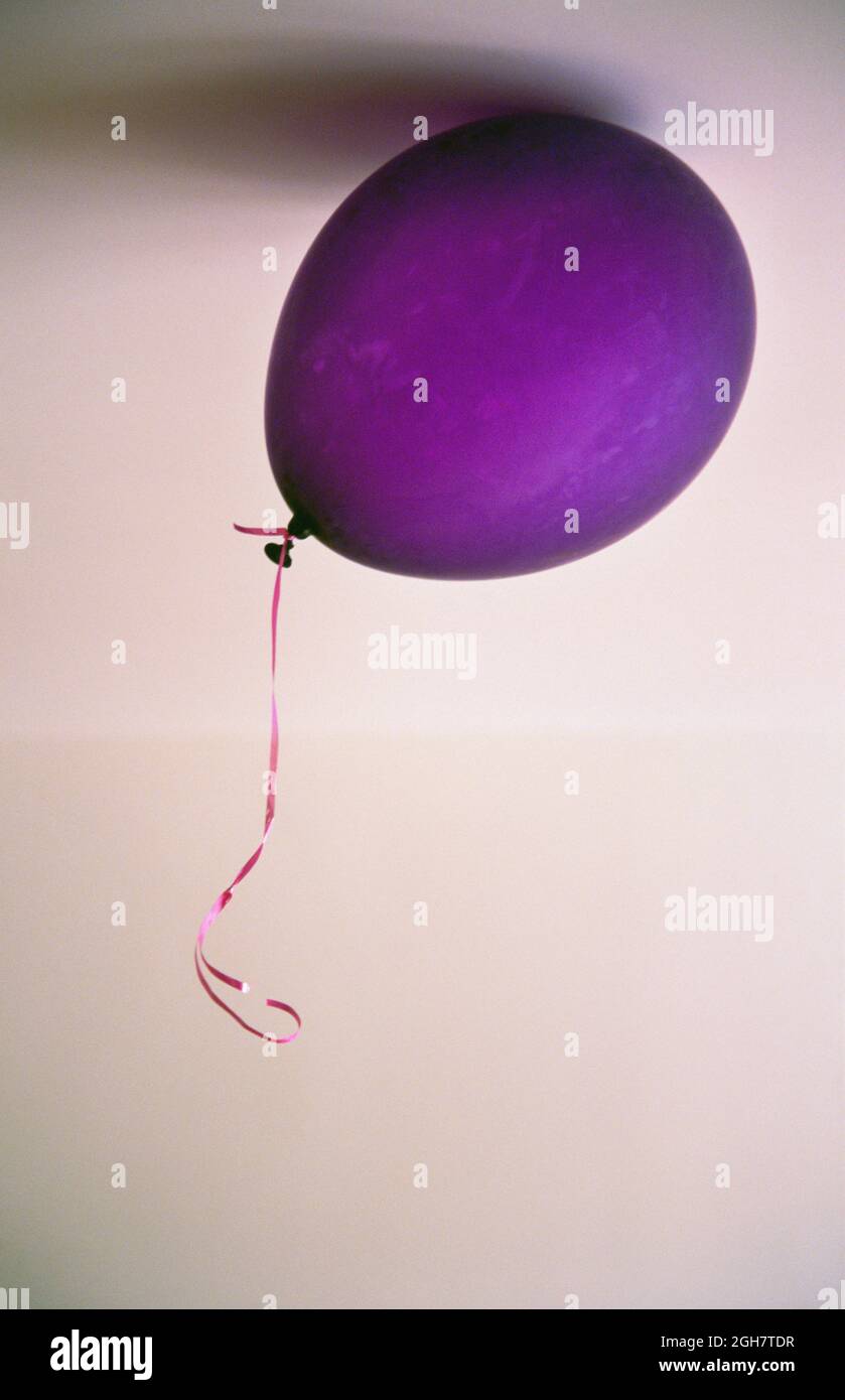 palloncino viola che galleggia su un soffitto Foto Stock
