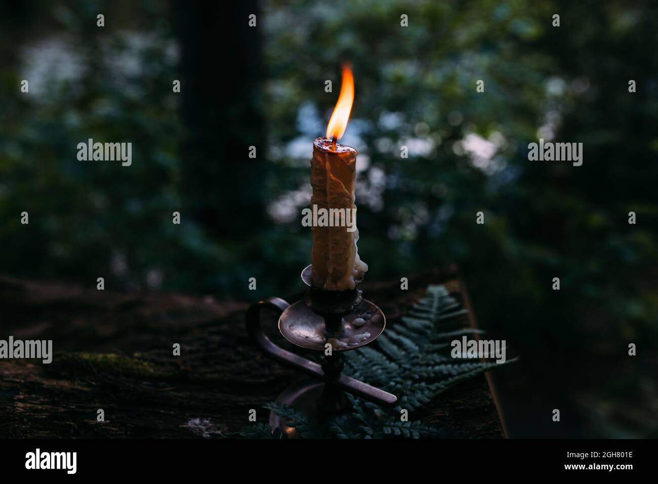 Candela che brucia nella foresta incantata. Concetto occulto, esoterico. Foto Stock