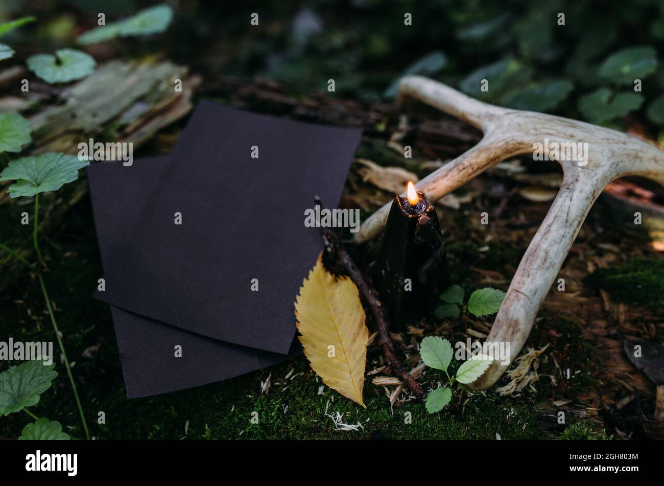 Mockup di carta artigianale nera, candela nera sullo sfondo della natura magica foresta Foto Stock