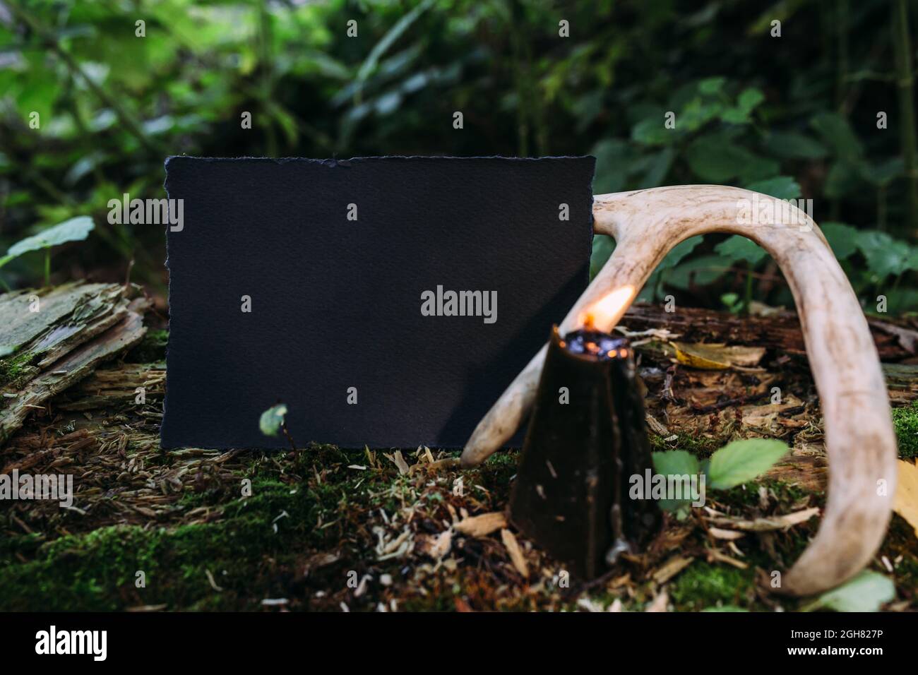 Mockup di carta artigianale nera, candela nera sullo sfondo della natura magica foresta Foto Stock