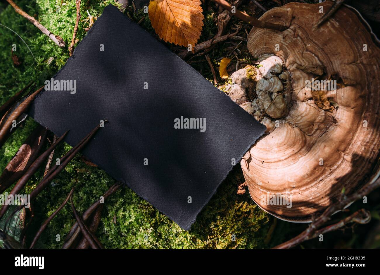 Modello di mockup nero di carta artigianale sullo sfondo della natura magica foresta Foto Stock