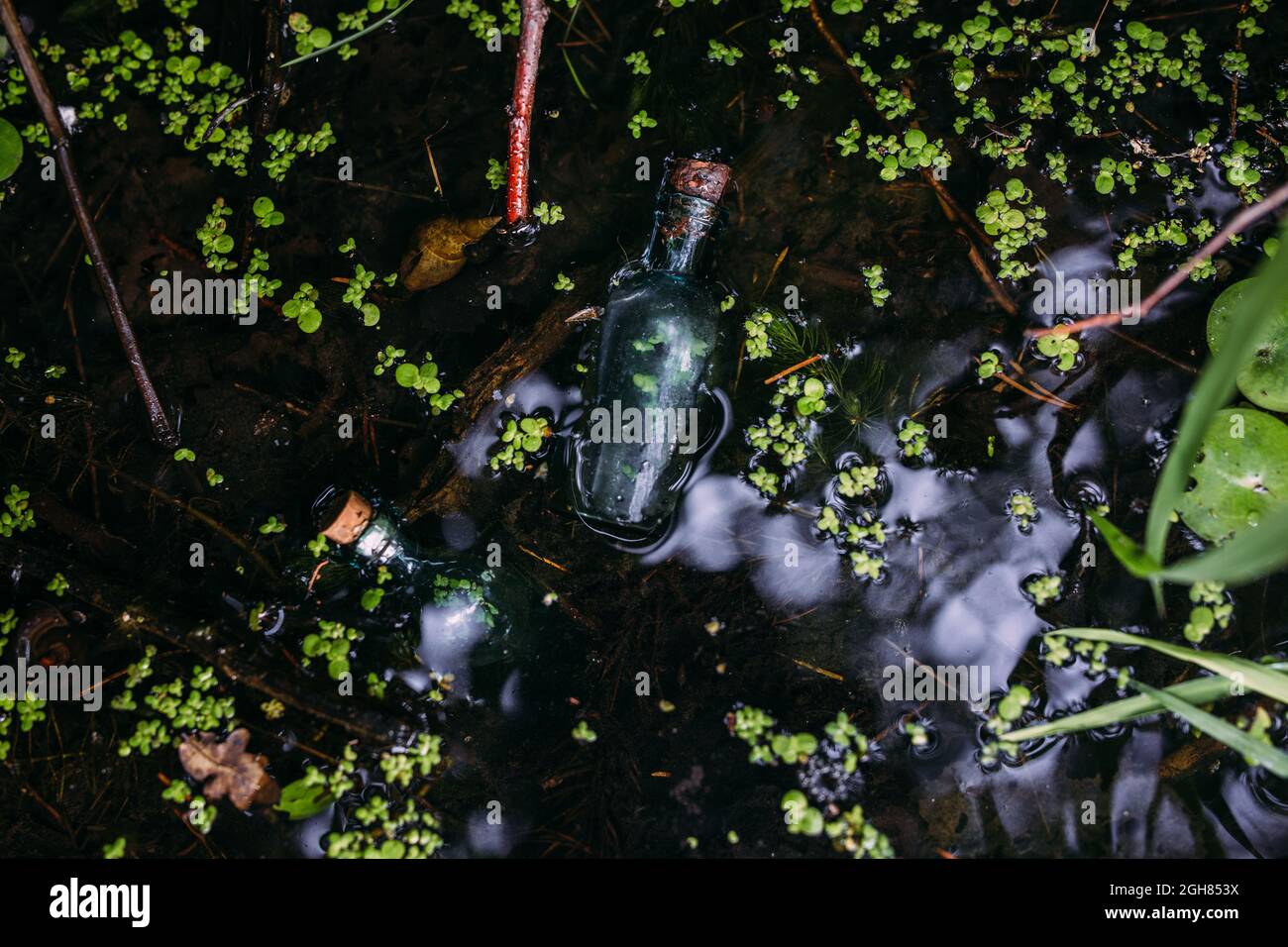 Le bottiglie di vetro sono riempite con ingredienti magici, elisir. Lago misterioso. Foto Stock