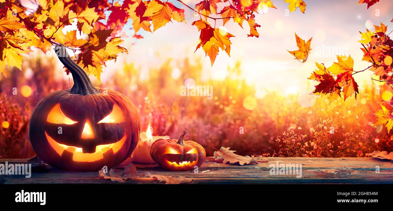 Zucche sul tavolo d'autunno con foglie e candele sfondo soleggiato Foto Stock