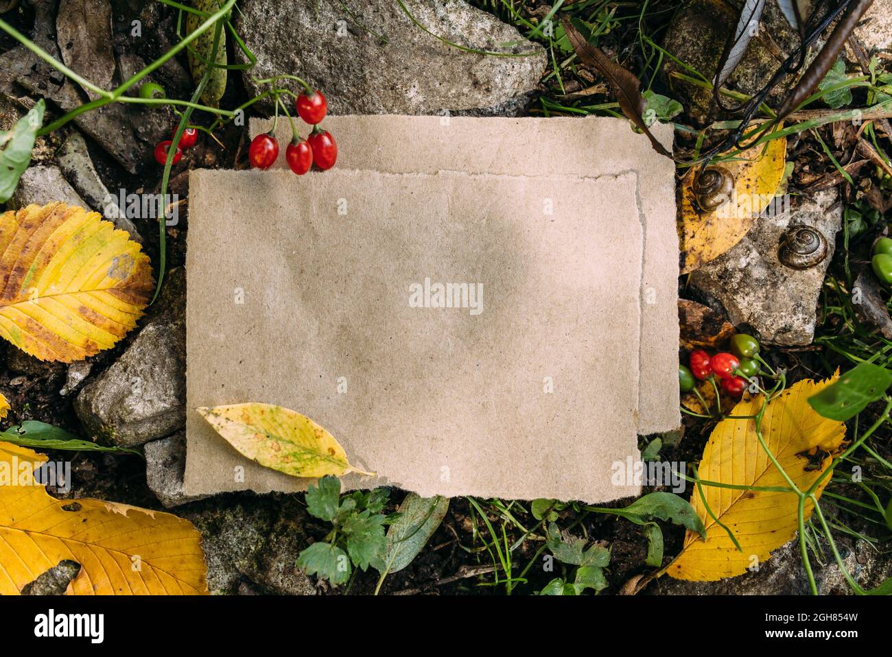 Modello di mockup di carta artigianale sullo sfondo della foresta magica autunno natura Foto Stock