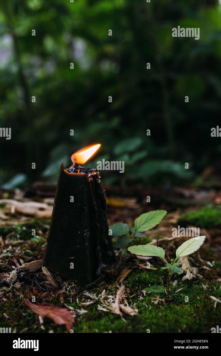 Concetto occulto, esoterico, divinazione e wicca. Halloween sfondo vintage Foto Stock