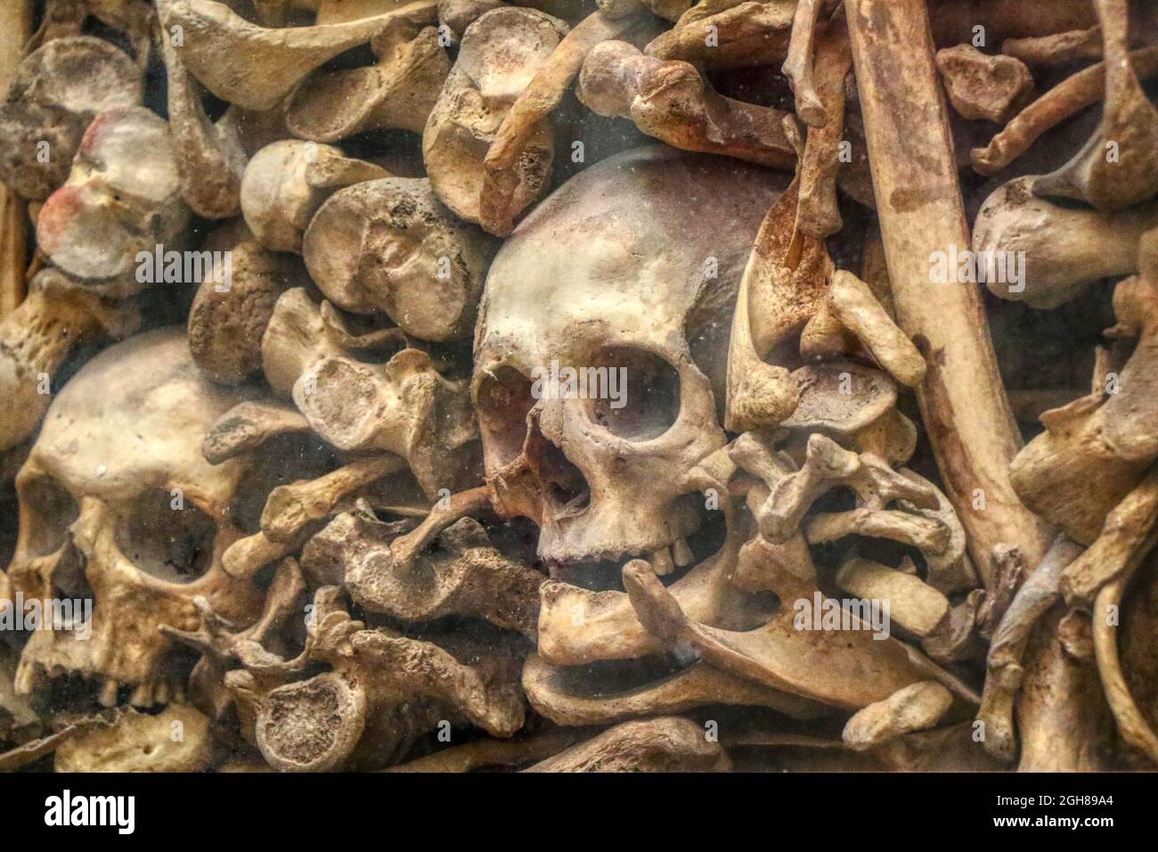 Muro di ossa umane reali e cranio accumulato Foto Stock