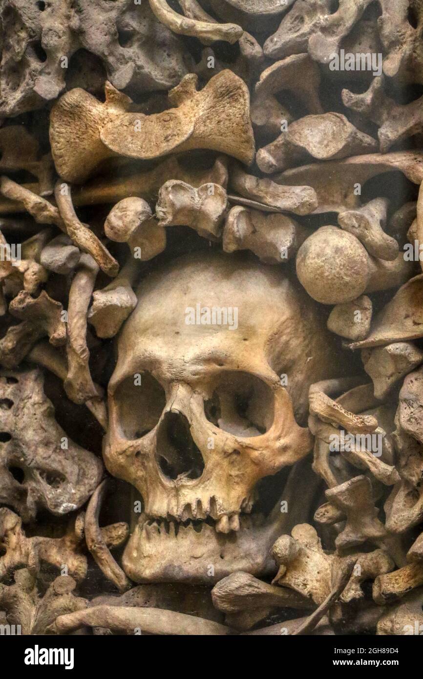 Muro di ossa umane reali e cranio accumulato Foto Stock