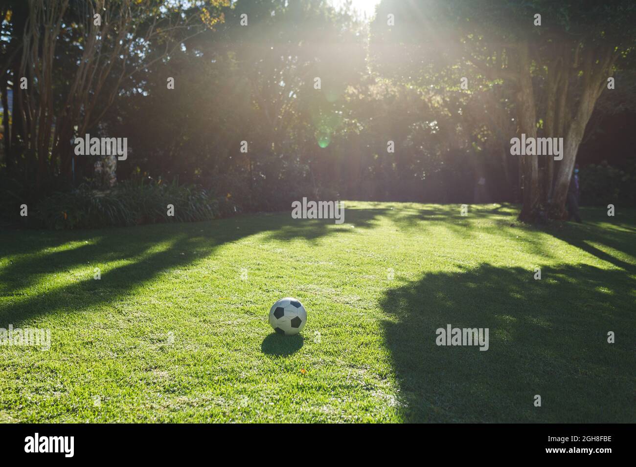 Calcio adagiato sull'erba in giardino con alberi in giornata di sole Foto Stock