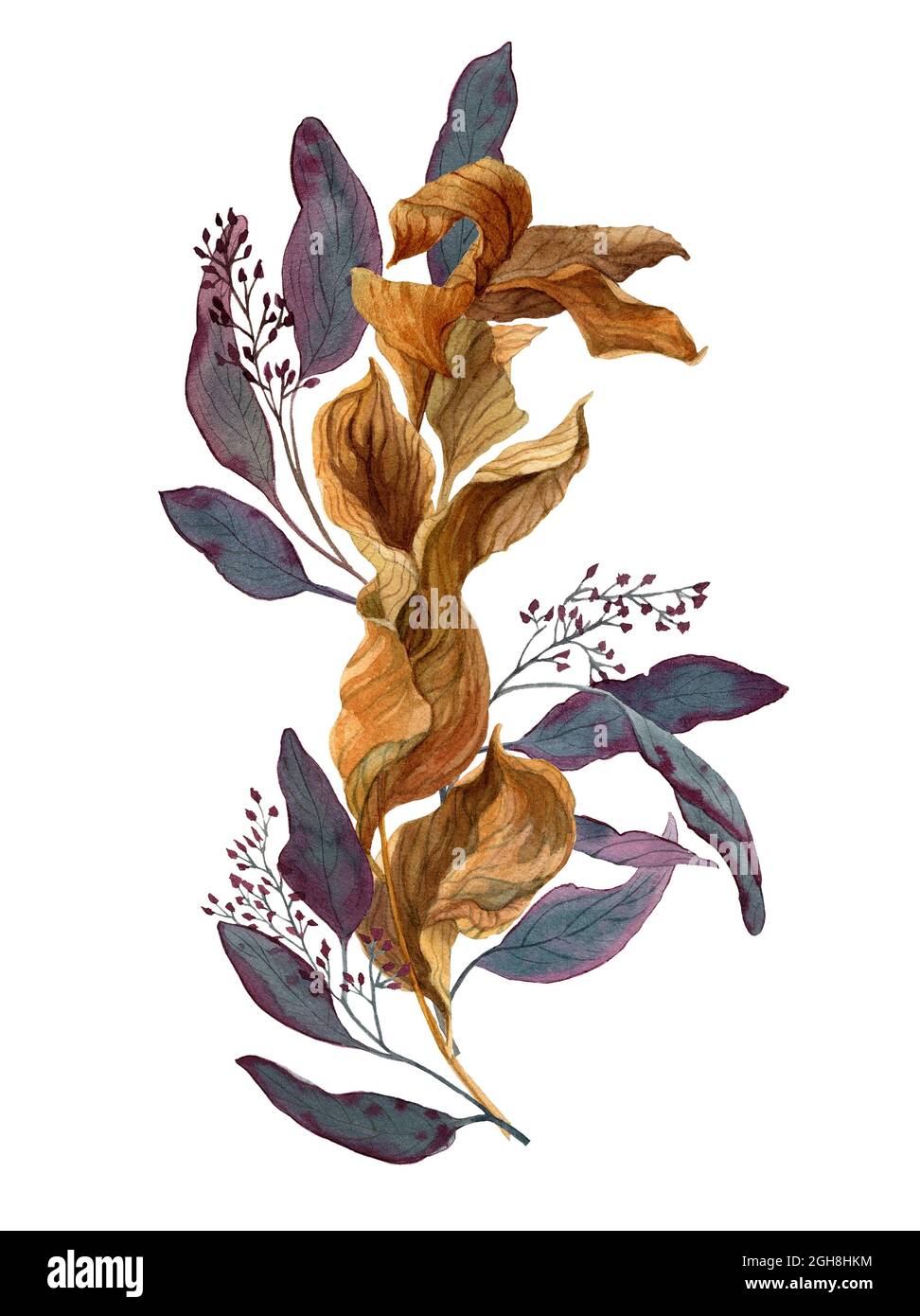 Bouquet acquerello di rami di ruco ed eucalipto isolato su bianco. Illustrazione di watercolor disegnata a mano di foglie asciutte su pianta. Progettazione per tessuti, Foto Stock