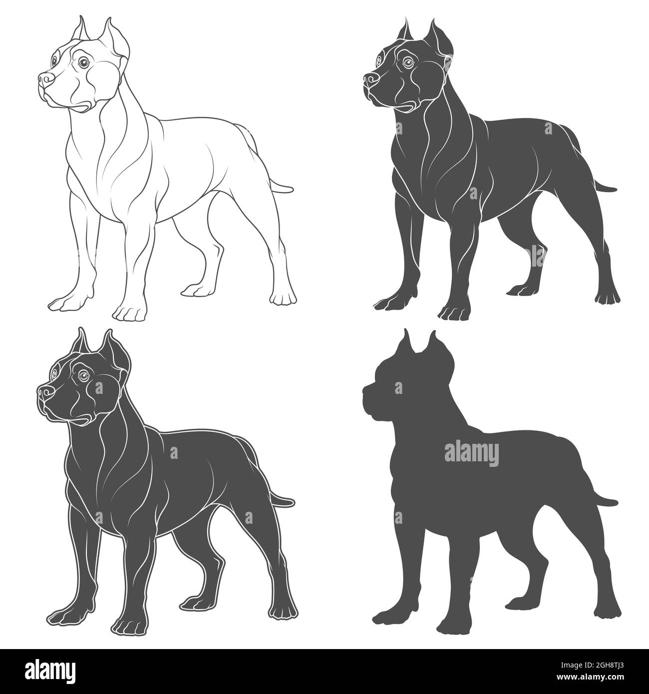 Set di illustrazioni in bianco e nero con un cane pit bull. Oggetti vettoriali isolati su sfondo bianco. Illustrazione Vettoriale