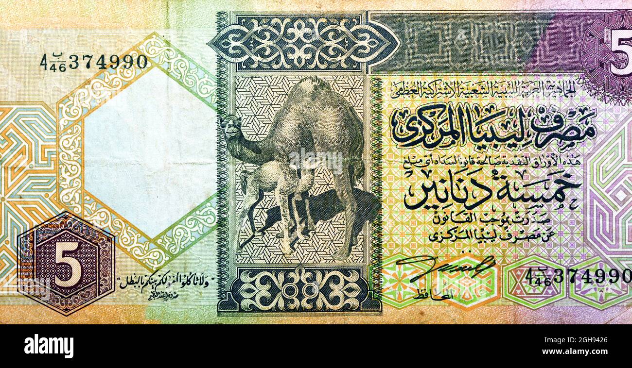 Grande frammento del lato opposto di 5 monete di banconote da cinque dinari libici emesse nel 1991 dalla banca centrale libica con immagine di cammelli al centro, Foto Stock