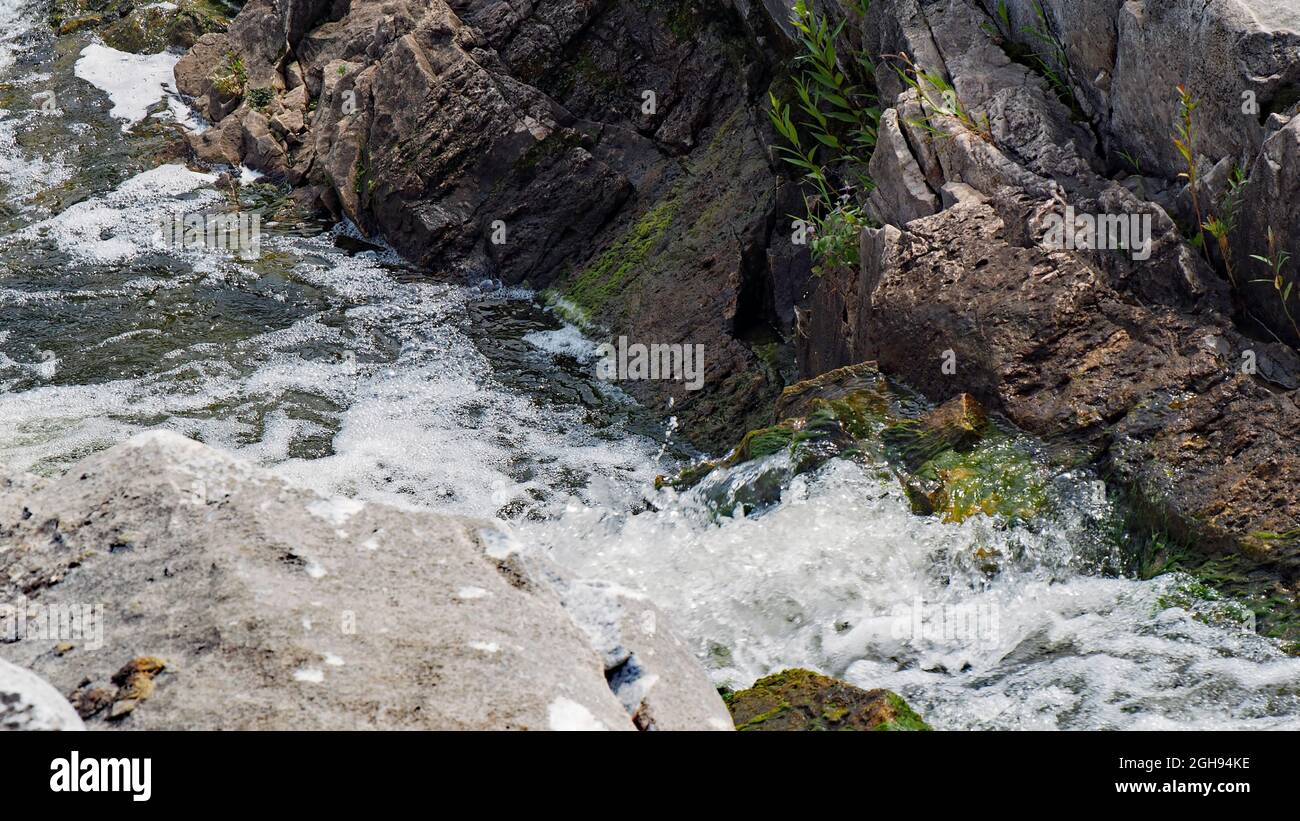 Primo piano delle rapide sul fiume Bonnechere a Renfrew, Ontario, Canada con piante che crescono sulle rocce e nell'acqua. Foto Stock