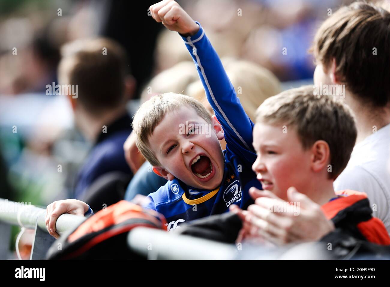 Un giovane fan di Leinster durante la European Rugby Champions Cup, la Quarter-Final match tra Leinster e Bath all'Aviva Stadium di Dublino il 04 aprile 2015. Charlie Forgham-Bailey Foto Stock