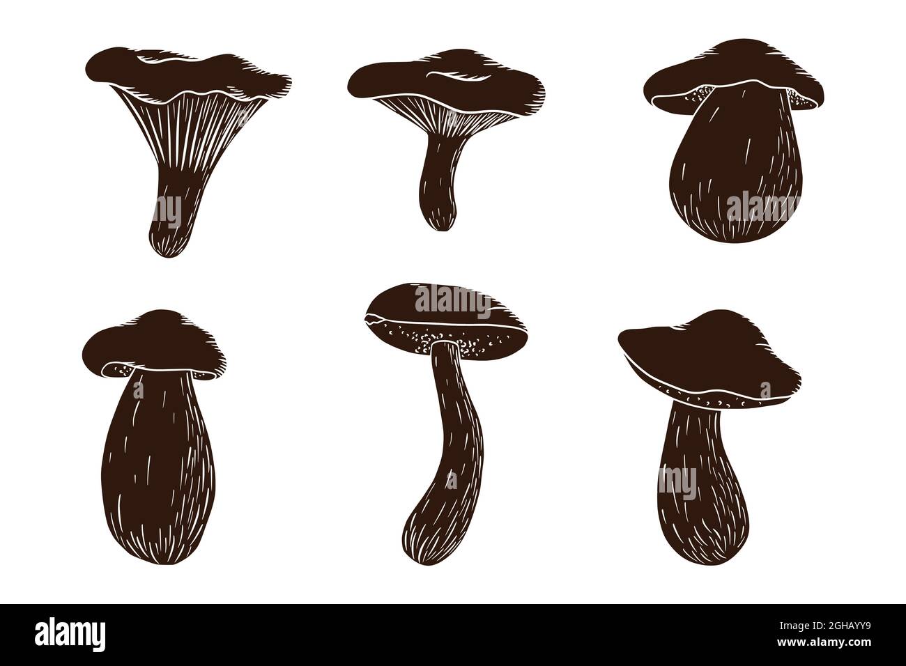 Set silhouette di funghi forestali. Collezione di funghi commestibili. Fungo bianco, russula, boleto, chanterelle. Illustrazione vettoriale per logo, menu, stampa, adesivi, design e decorazione. Vettore Premium Illustrazione Vettoriale