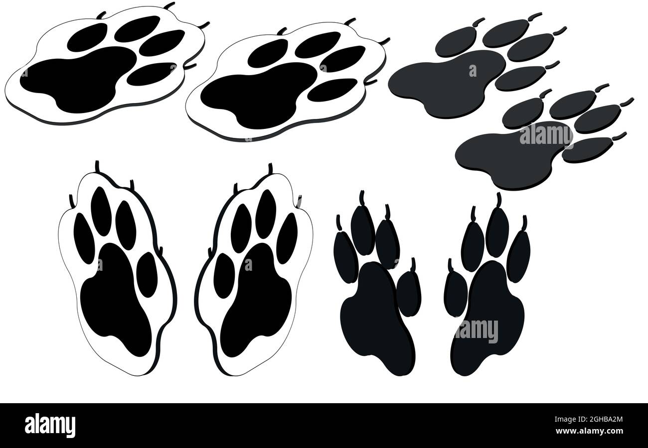Dog Paws Isometric Set Icon Illustrazione vettoriale Illustrazione Vettoriale