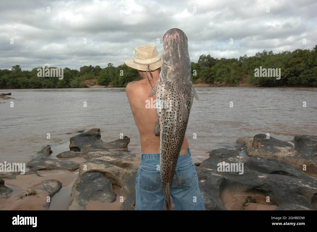 Il pescatore trasporta un pintado ( corruscans di Pseudoplatystoma, il sorubim macinato - una specie di pesce gatto a lungo whiskered ). Foto Stock