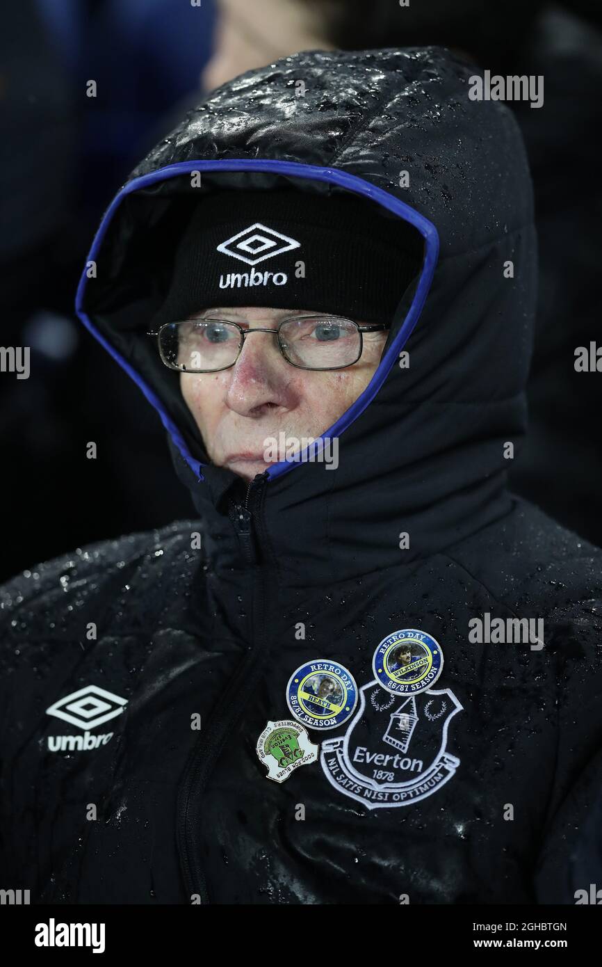 Fan di Everton durante la partita della Premier League inglese al Goodison Park, Liverpool. Data foto: 1 gennaio 2018. Il credito fotografico dovrebbe essere: Lynne Cameron/Sportimage via PA Images Foto Stock