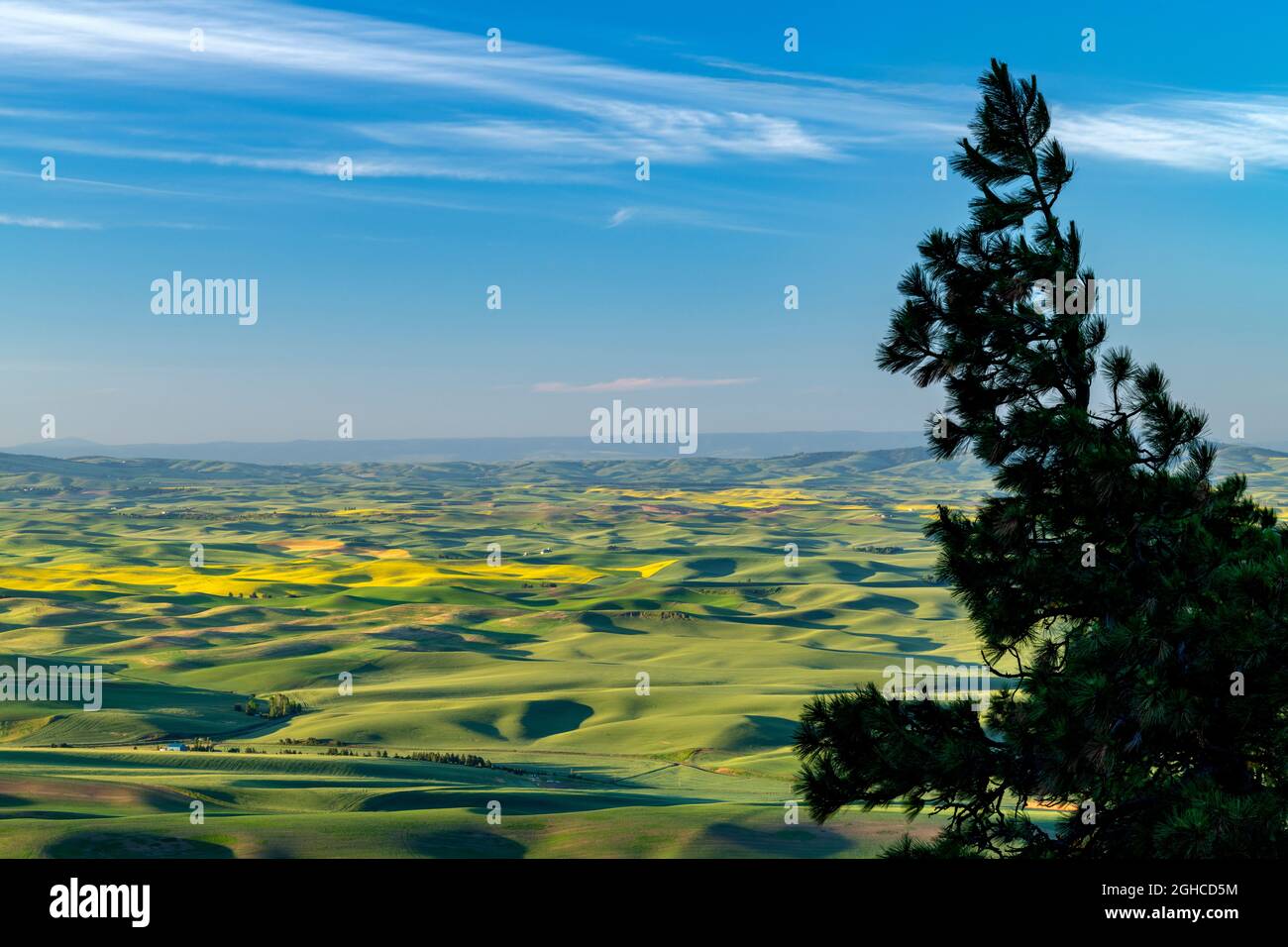 La pinta di Lone sovrasta le coltivazioni di grano e di canola Foto Stock