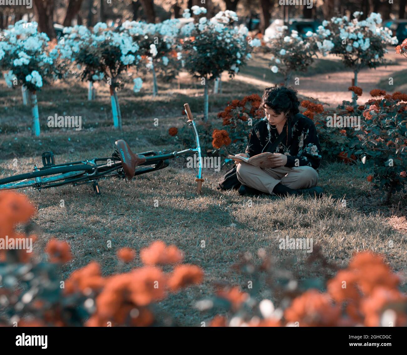 Donna bruna che legge un libro seduto sull'erba del parco con rose sullo sfondo e una bicicletta. Lettura e relax tempo. Orizzontale Foto Stock
