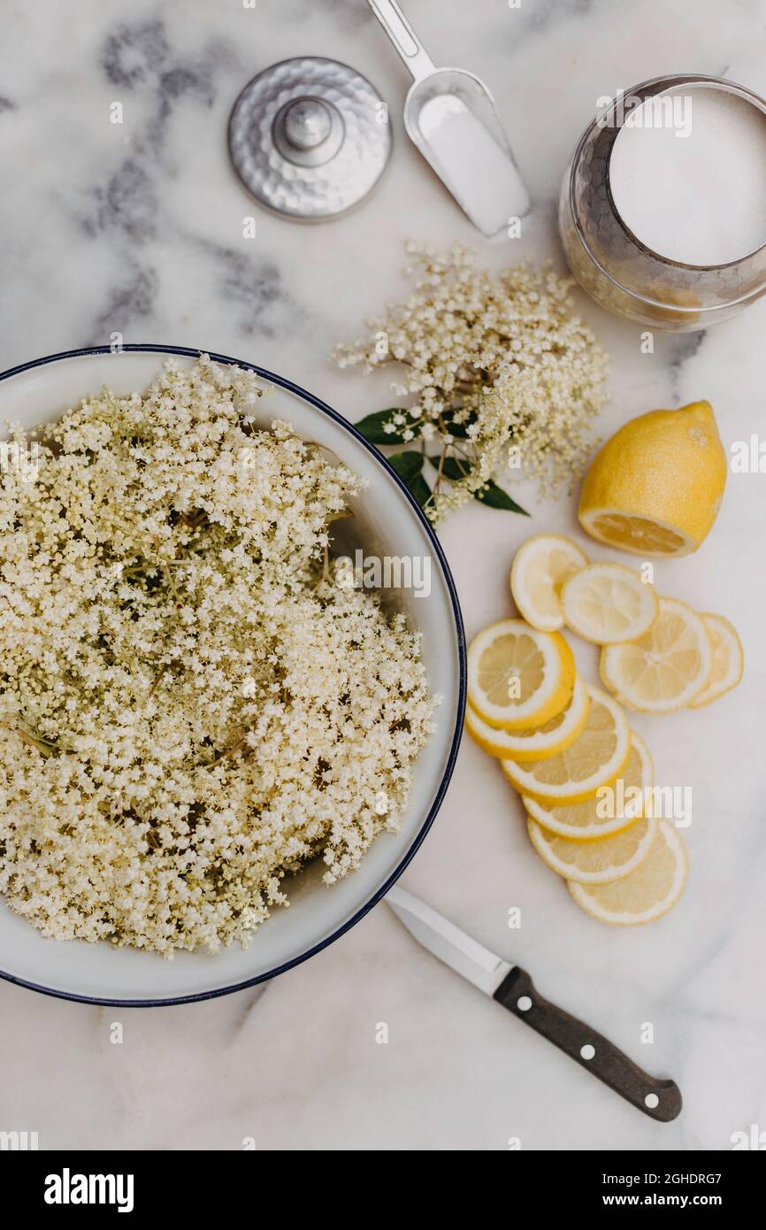 Preparare il fiore di sambuco cordiale con fiori freschi, zucchero e limone Foto Stock