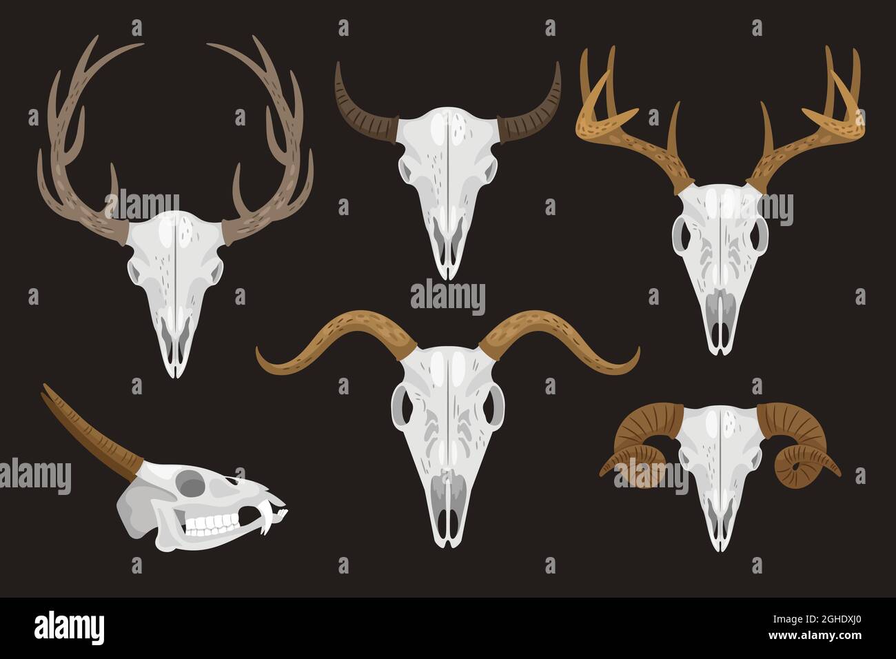 Collezione di teschi con corna di animali diversi Illustrazione Vettoriale