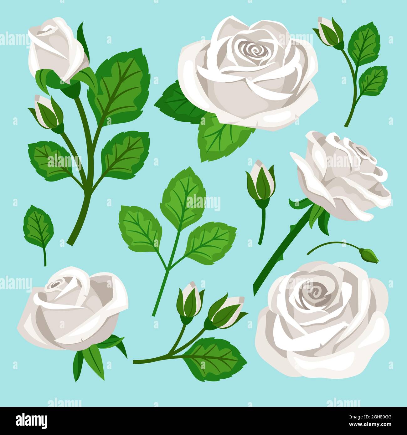 Bella collezione di rose di wite fiori boccioli e rami Illustrazione Vettoriale