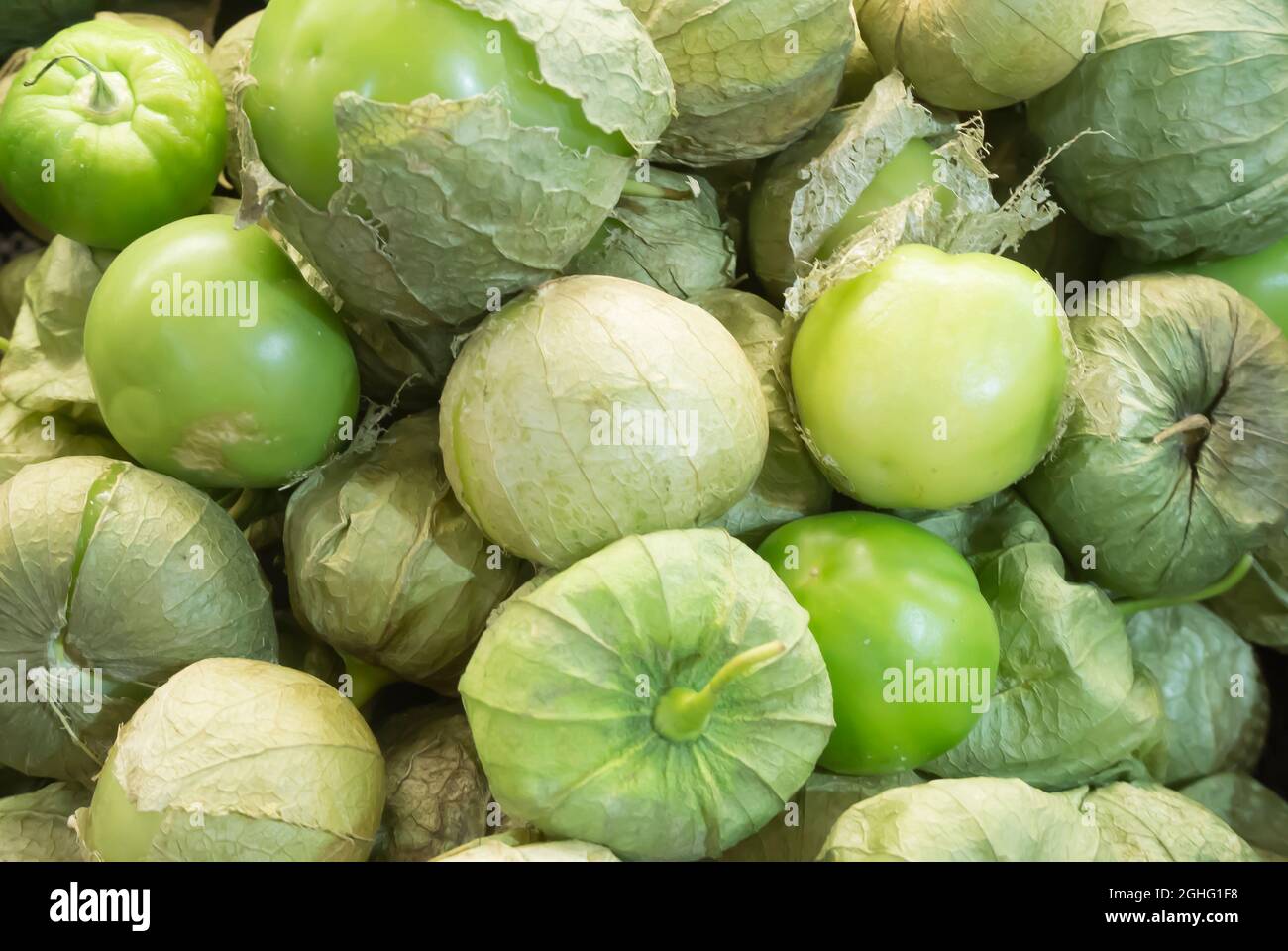Tomatillos - primo piano Foto Stock