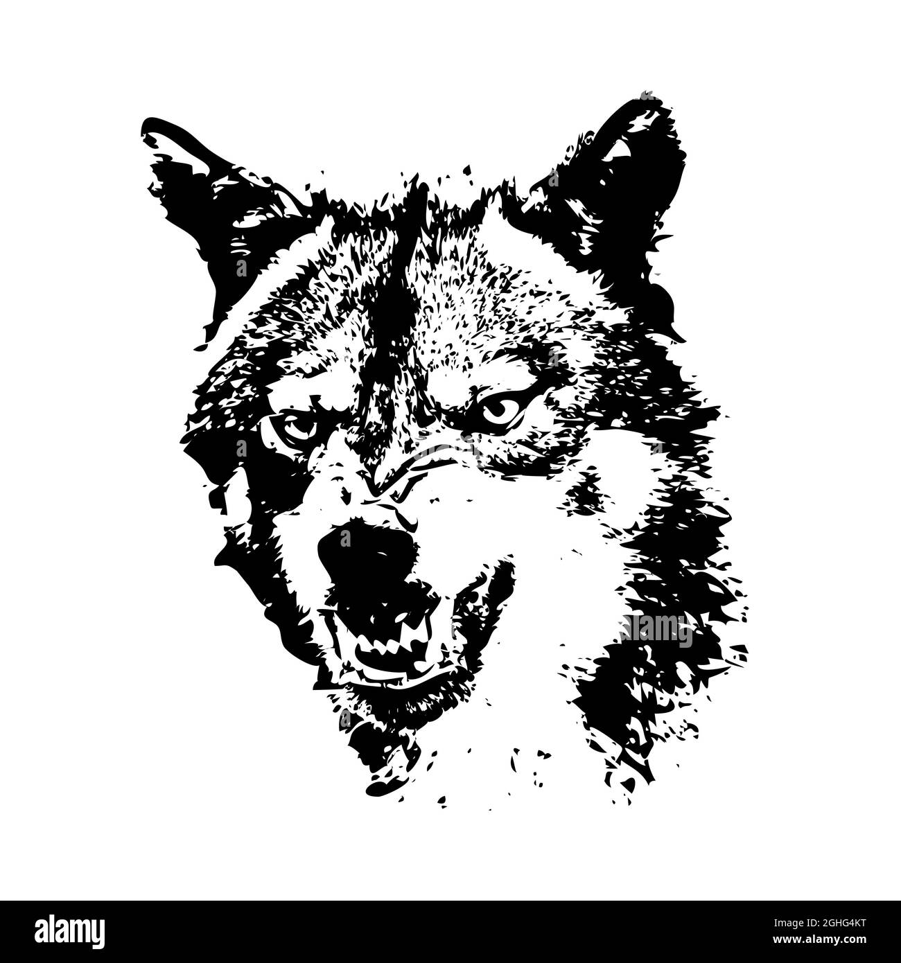 Lupo. La faccia di grinning è nera e bianca. Vettore. Illustrazione Vettoriale