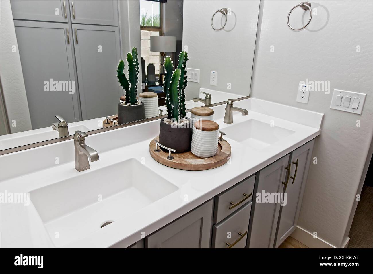 Centro Cactus nel moderno bagno Master Dual Sink Foto Stock