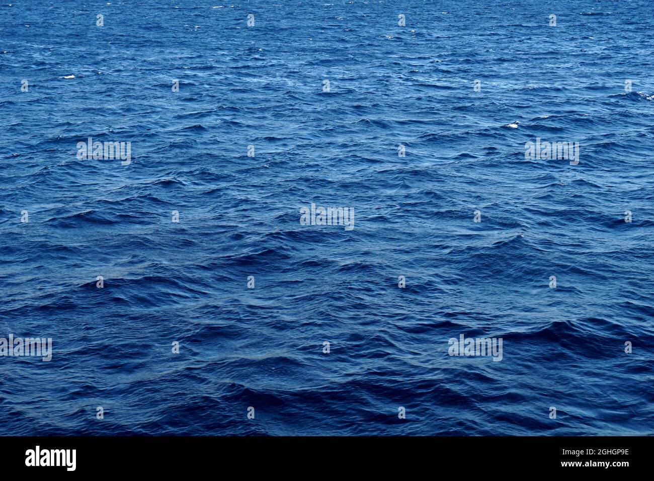 Mare tempestoso sfondo natura. Bella superficie di mare ondulato durante il forte vento nord Foto Stock