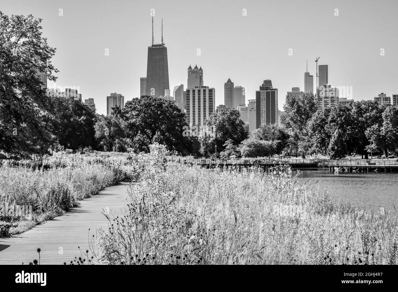Opere d'arte all'aperto e sentiero nel parco cittadino urbano con skyline Foto Stock