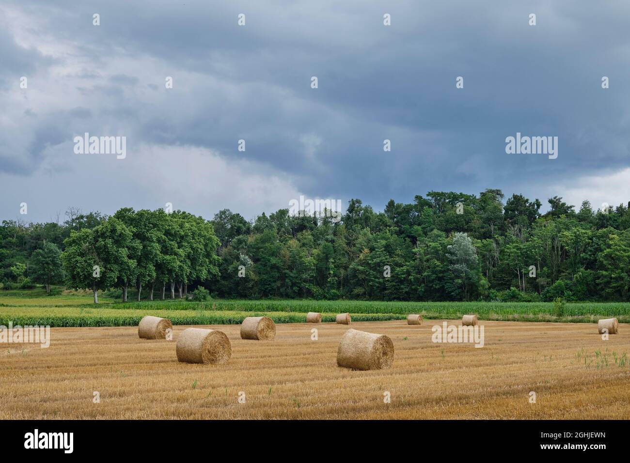 Charmes sur l'Herbasse Drôme, Francia - Agosto 2021: Un campo con balle rotolate di fieno. Foto Stock