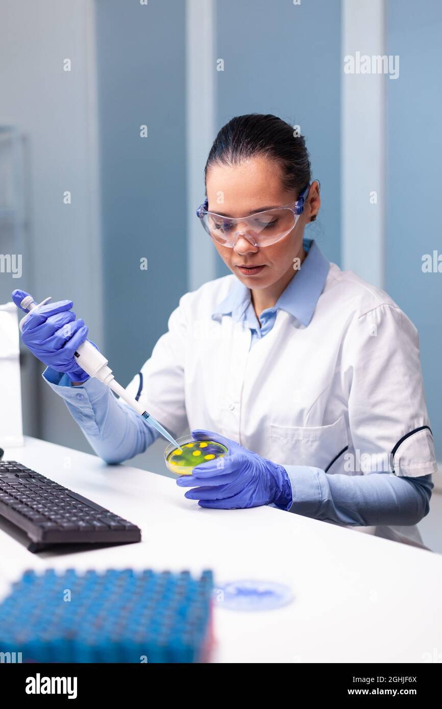 Ricercatore di scienziato che mette la soluzione medica usando micropippete in piastra Petri con batteri che lavorano all'esperimento del microrganismo nel laboratorio ospedaliero di microbiologia. Medico che esamina l'infezione da vaccino Foto Stock