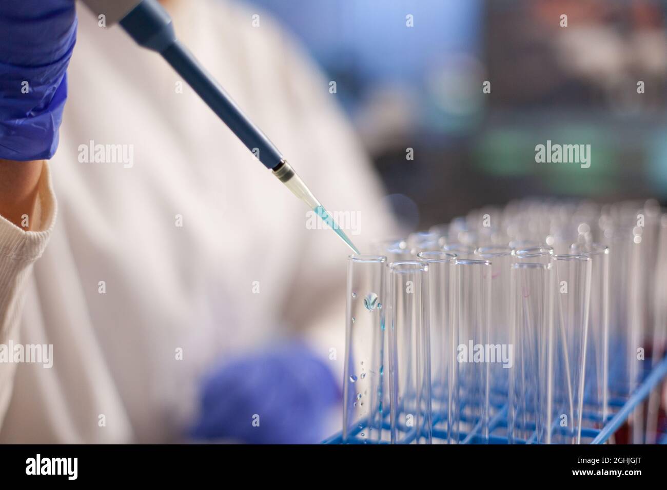 Primo piano del medico utilizzando la pipetta sulle provette per il sangue nel laboratorio di ricerca medica. Specialista scientifico che utilizza apparecchiature mediche per lo sviluppo del trattamento e l'innovazione nel settore sanitario Foto Stock