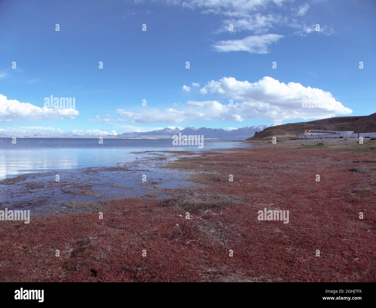 Veduta del Lago Manasarovar (Tibetan-Swan rimbonche), un lago d'acqua dolce ad alta quota, Burang County, Prefettura di Ngari, Regione Autonoma Tibetana Foto Stock