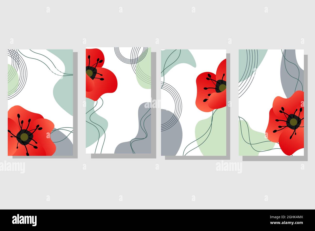 Set di carte floreali. Papaveri e spot astratti. Illustrazione vettoriale isolata su sfondo bianco. Illustrazione Vettoriale